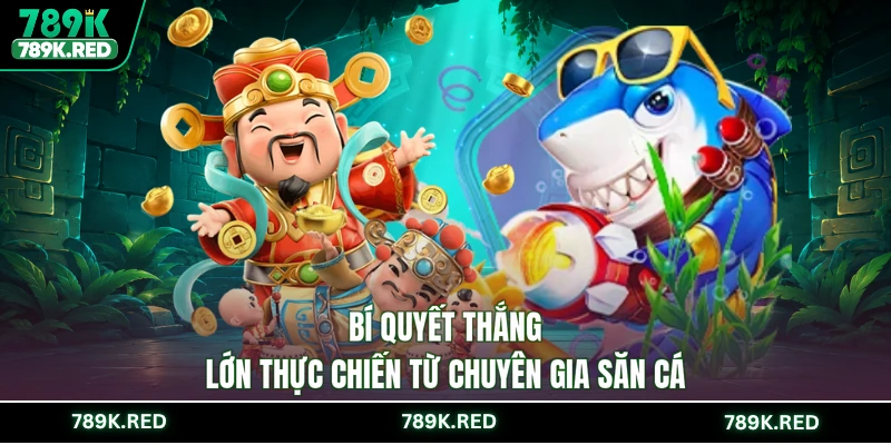 Bí quyết thắng lớn thực chiến từ chuyên gia săn cá